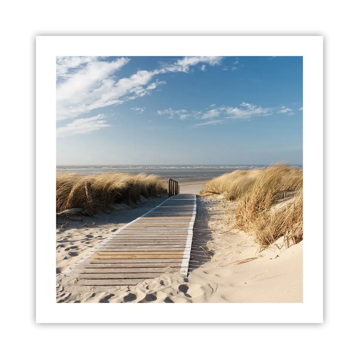 Plakat - Za wydmą, w szumie traw - 50x50 cm