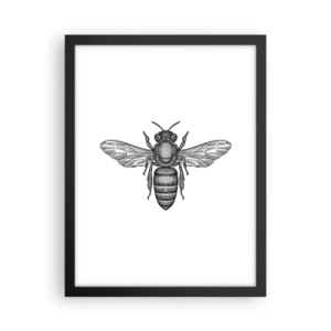 Plakat w czarnej ramie - Owadzi portret - 30x40 cm