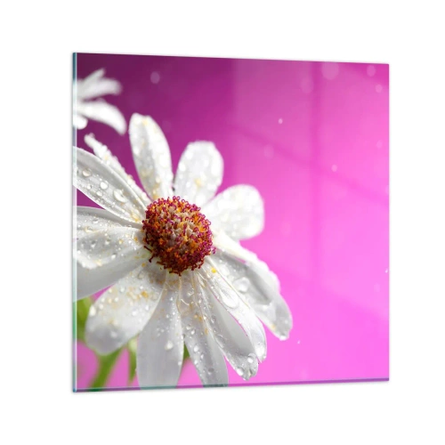 Obraz na szkle - Skromny w swojej urodzie - 40x40 cm