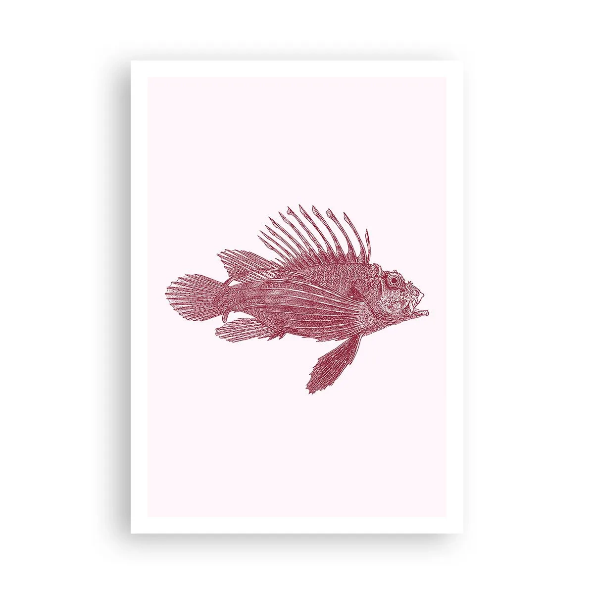Plakat - Mieszkanka egzotycznych wód - 70x100 cm