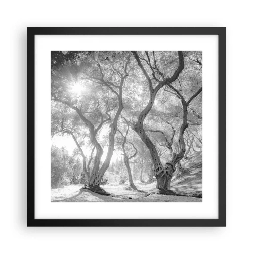 Plakat w czarnej ramie - W oliwnym gaju - 40x40 cm