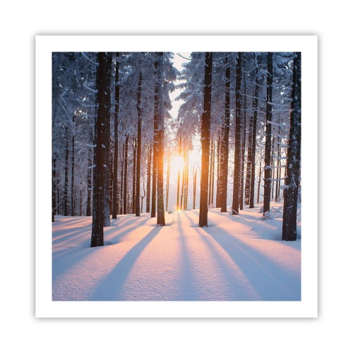 Plakat - Wyraźnie czarno na białym - 60x60 cm