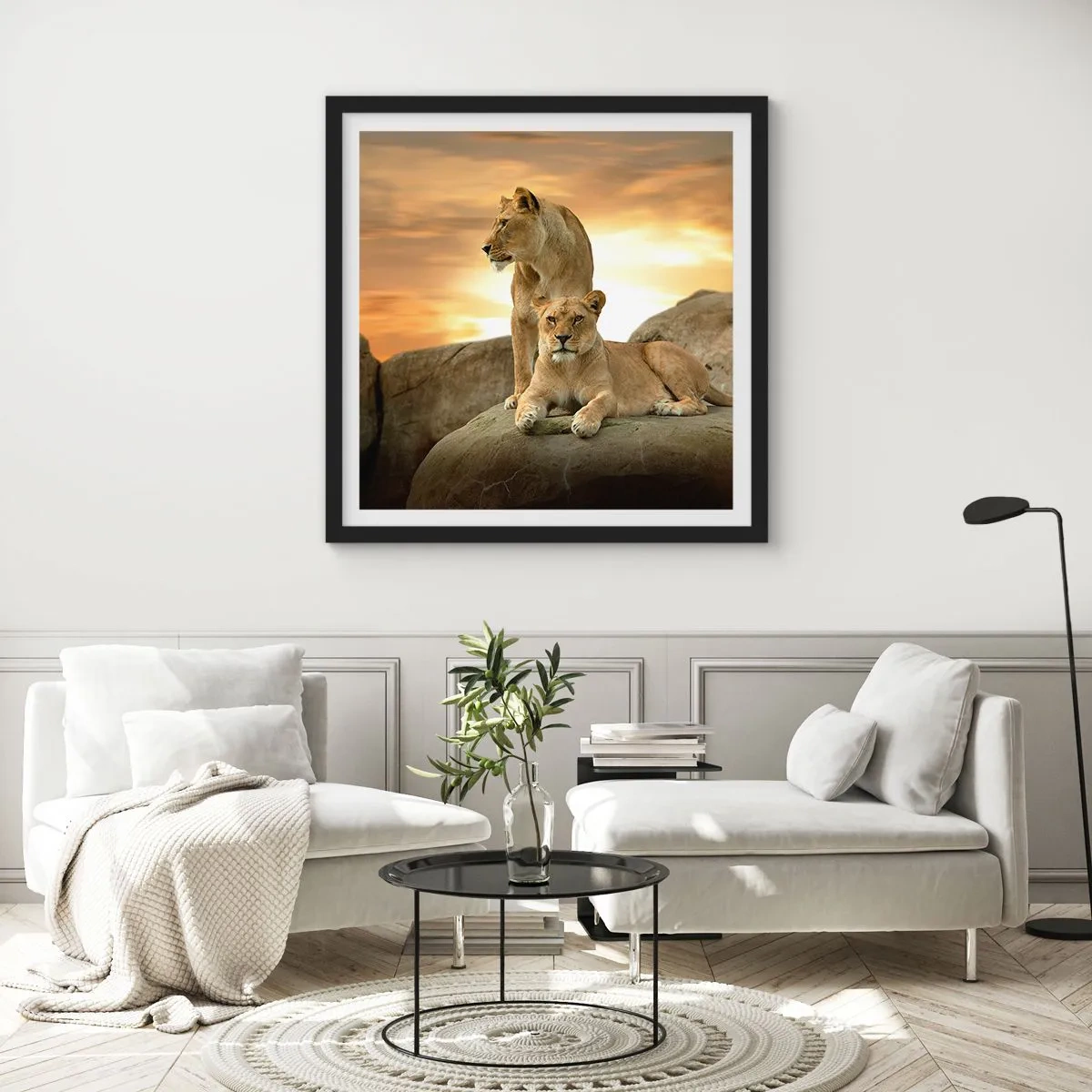 Plakat w czarnej ramie - Królewski majestat - 50x50 cm