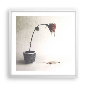 Plakat w białej ramie - Rosa dolorosa - 50x50 cm
