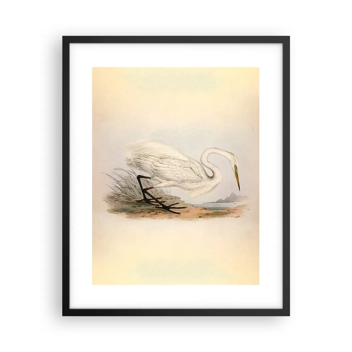 Plakat w czarnej ramie - Pani na szuwarach - 40x50 cm