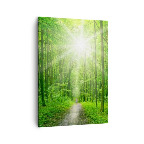 Obraz na płótnie - Leśna ścieżka w promieniach słońca - 50x70cm - Zielona katedra - Nowoczesna dekoracja ścienna do salonu, kuchni i sypialni ARTTOR