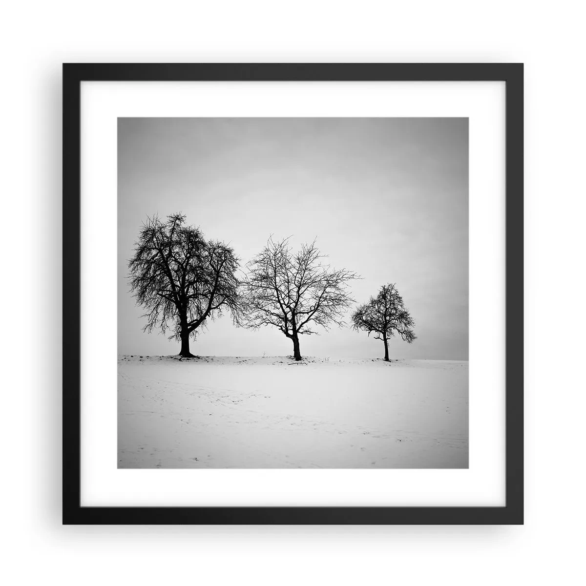 Plakat w czarnej ramie - O czym śnią? - 40x40 cm