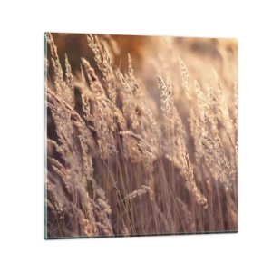 Obraz na szkle - Gotowe na powitanie jesieni - 50x50 cm