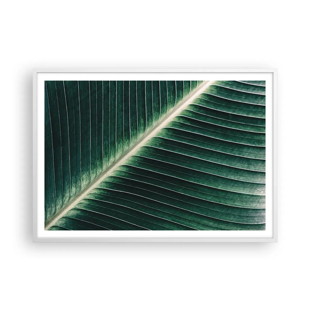 Plakat w białej ramie - Rytm natury - 100x70 cm
