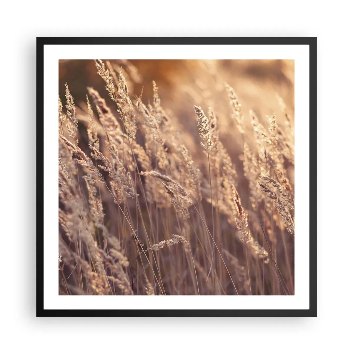 Plakat w czarnej ramie - Gotowe na powitanie jesieni - 60x60 cm