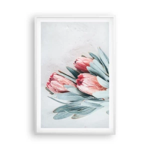 Plakat w białej ramie - Zawstydzone własną urodą - 61x91 cm