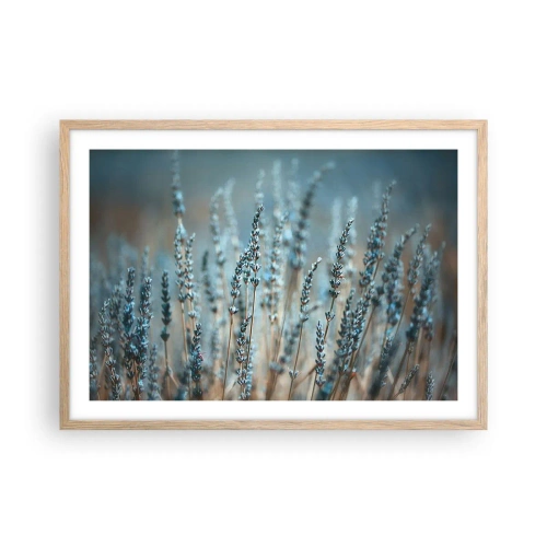 Plakat w ramie jasny dąb - Pachnący łan - 70x50 cm