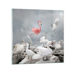 Obraz na szkle - Skąd się tu wziąłem? - 60x60 cm