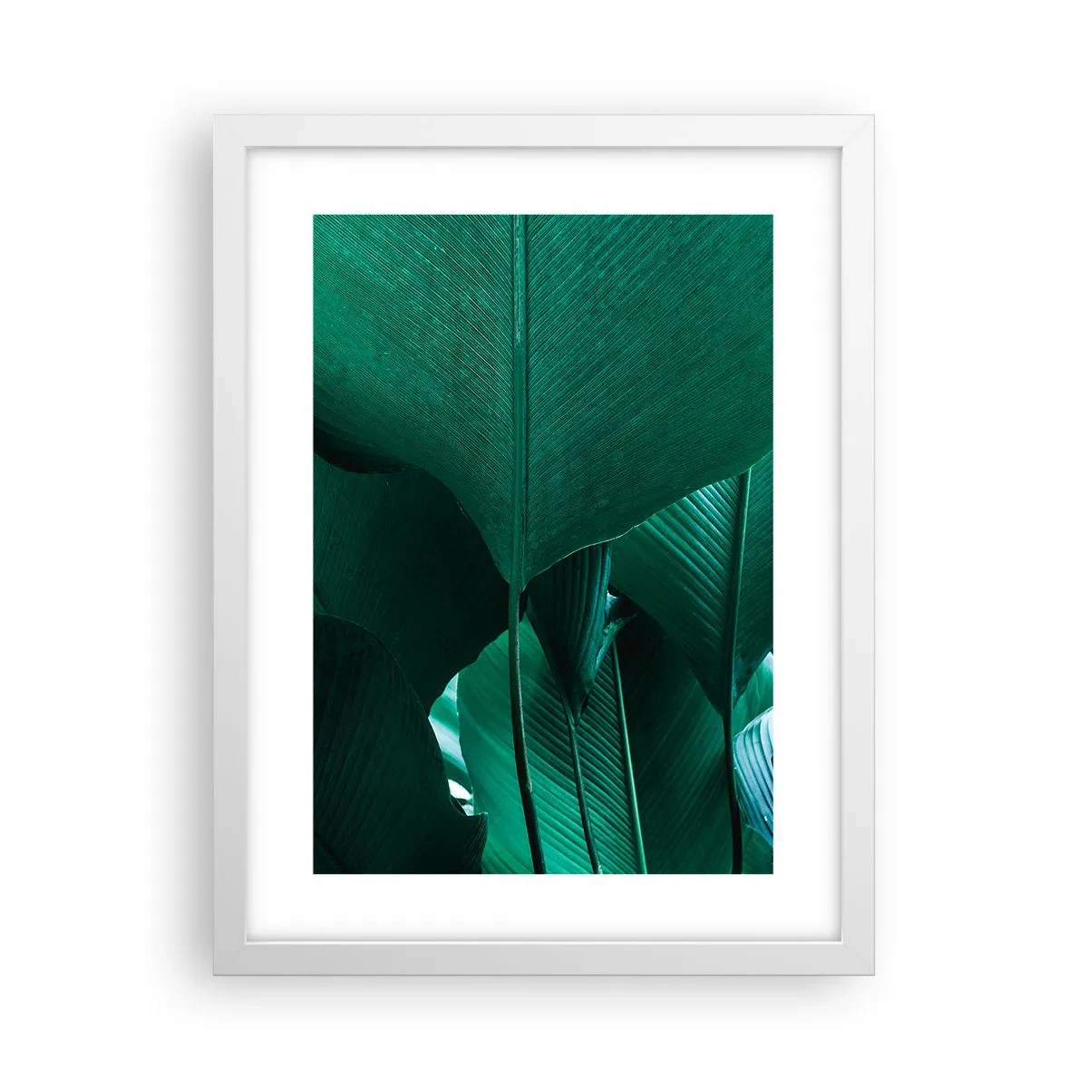 Plakat w białej ramie - Zwrócone do światła - 30x40 cm