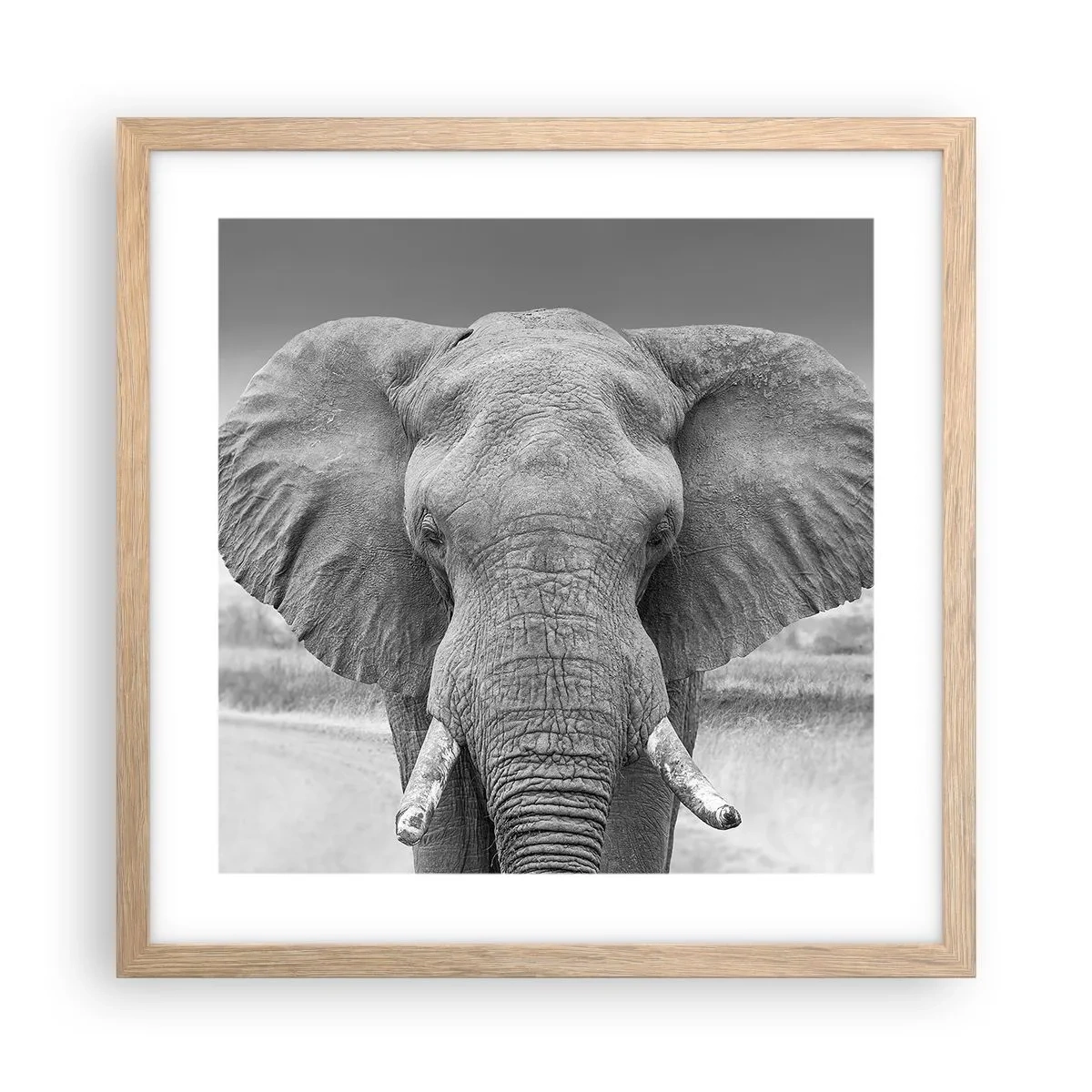 Plakat w ramie jasny dąb - Witaj w moim świecie - 40x40 cm