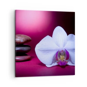 Obraz na płótnie - Studium świeżości w fiolecie - 60x60 cm