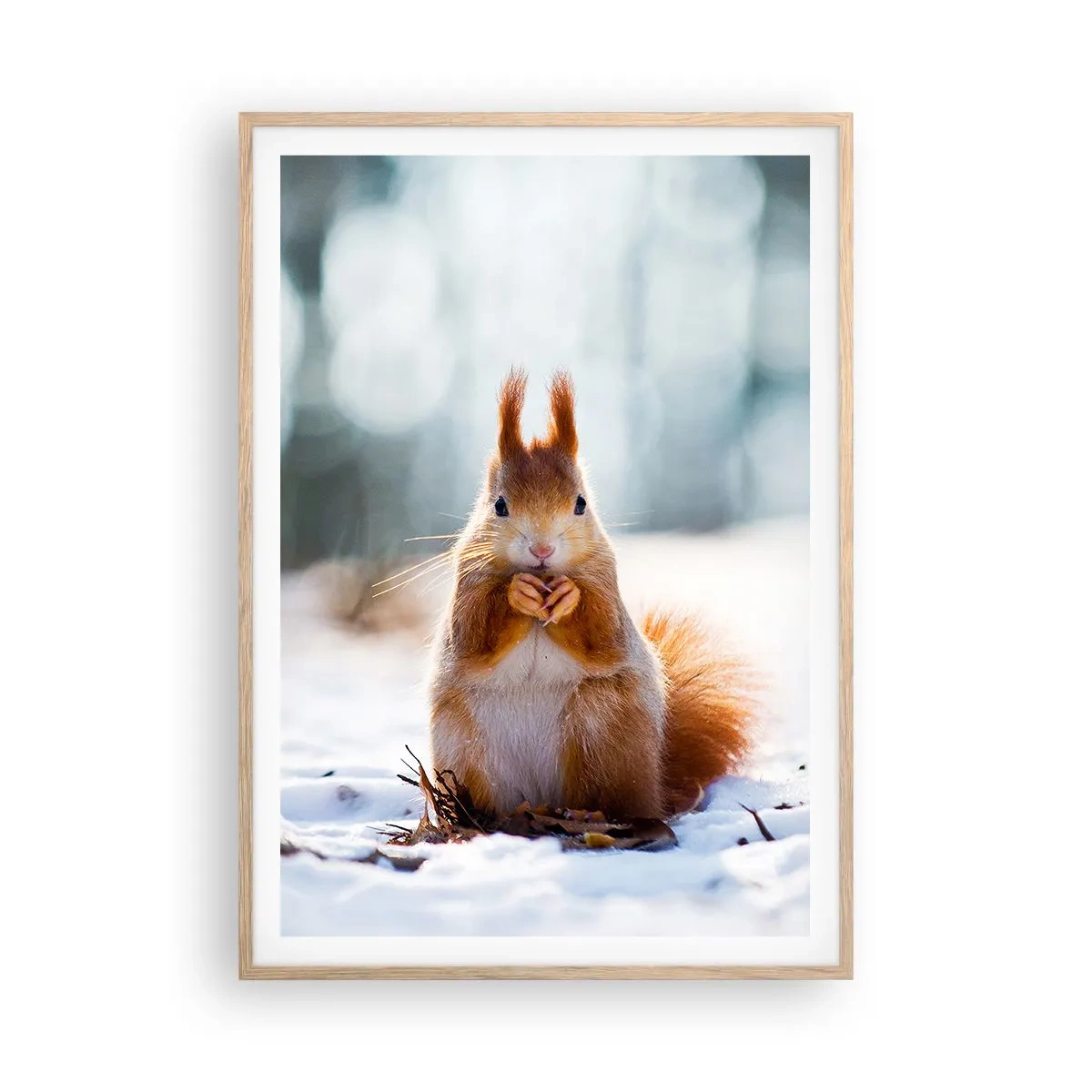 Plakat w ramie jasny dąb - I co tak patrzysz? - 70x100 cm