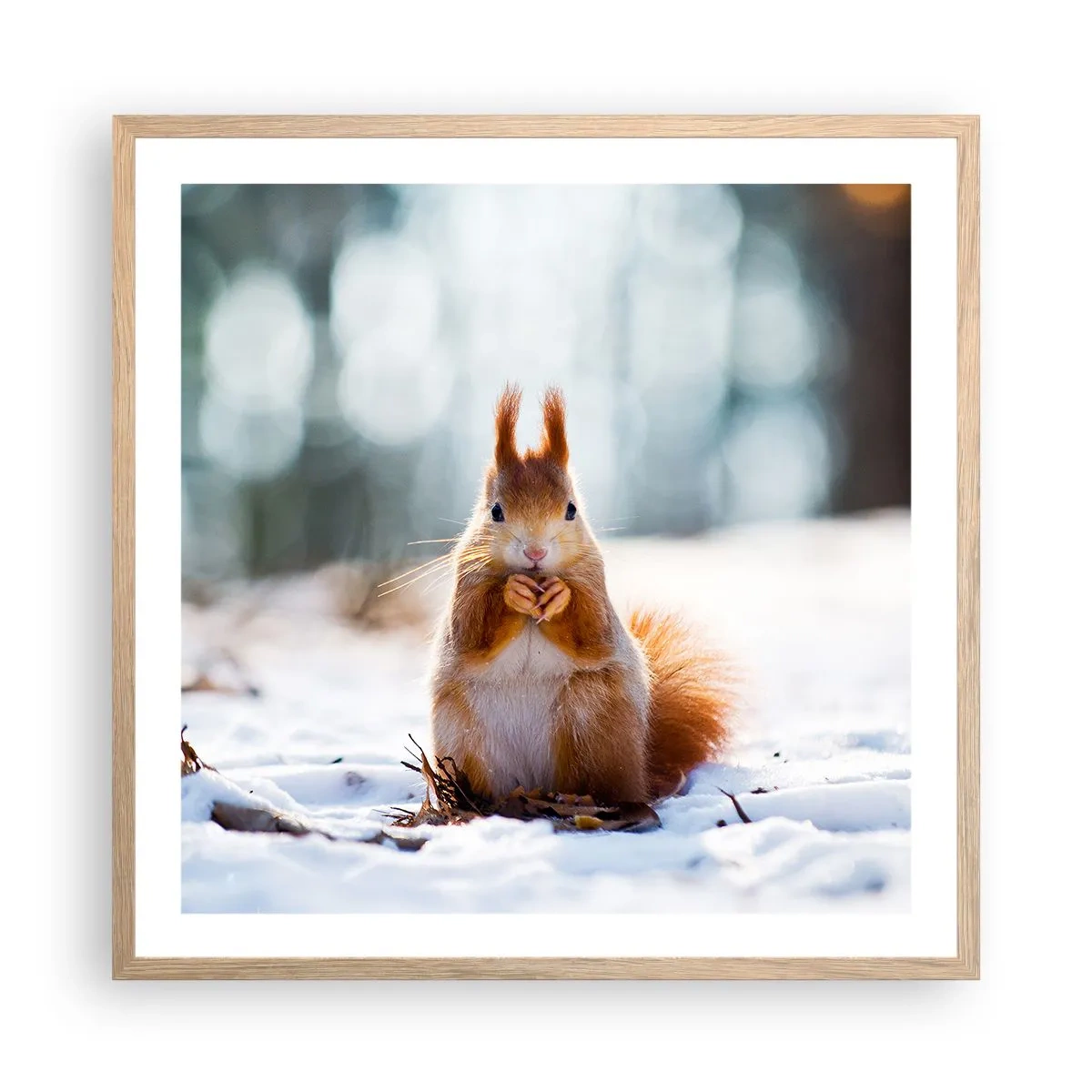 Plakat w ramie jasny dąb - I co tak patrzysz? - 60x60 cm