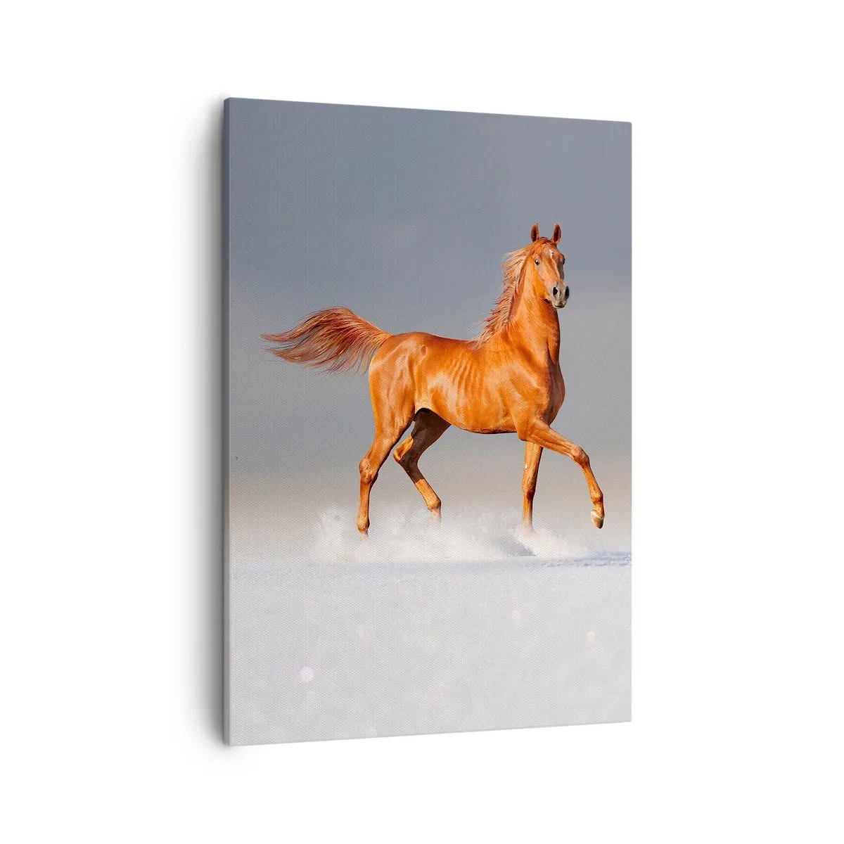 Obraz na płótnie - Rudy koń galopujący po śniegu - 50x70cm - Tańcząca gracja - Nowoczesna dekoracja ścienna do salonu, kuchni i sypialni ARTTOR