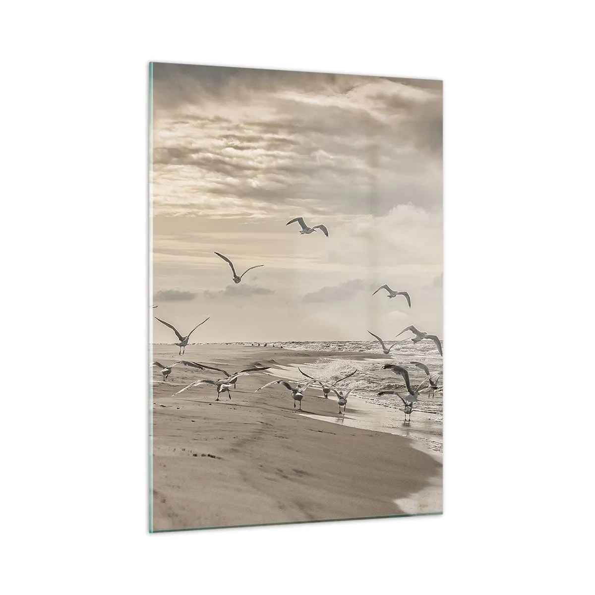Obraz na szkle - Ptaki nad brzegiem morza o świcie w odcieniach sepii - 50x70cm - Morza szum, ptaków śpiew - Nowoczesna dekoracja ścienna do salonu, kuchni i sypialni ARTTOR