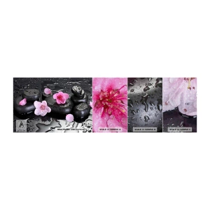 Fototapeta Próbka Premium Canvas - I kamień spada z serca - Kwiaty, Azja, Spa - 100x30 cm