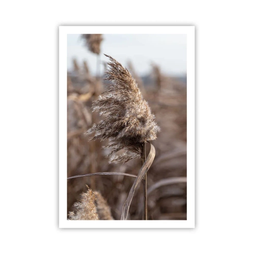 Plakat - Czas odlecieć z wiatrem - 61x91 cm