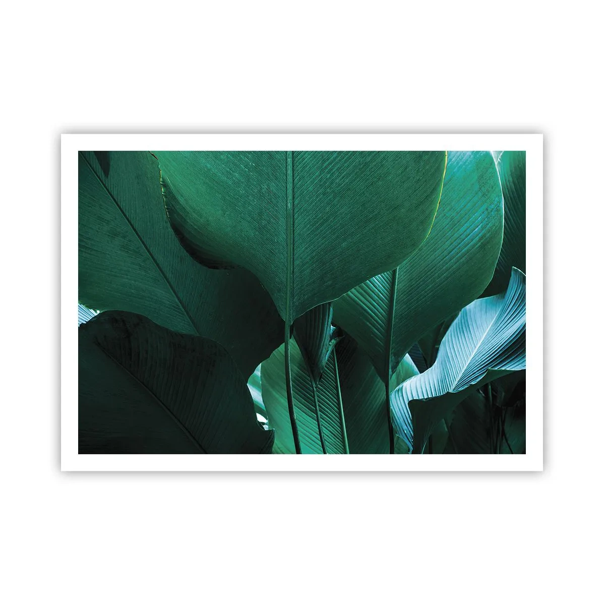 Plakat - Zielone liście w minimalistycznej kompozycji - 100x70cm - Zwrócone do światła - Nowoczesna dekoracja ścienna do salonu i sypialni ARTTOR