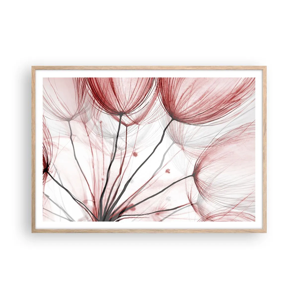 Plakat w ramie jasny dąb - Przed odlotem - 100x70 cm