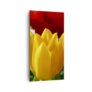 Obraz na płótnie - Tulipanowa gorączka - 65x120 cm