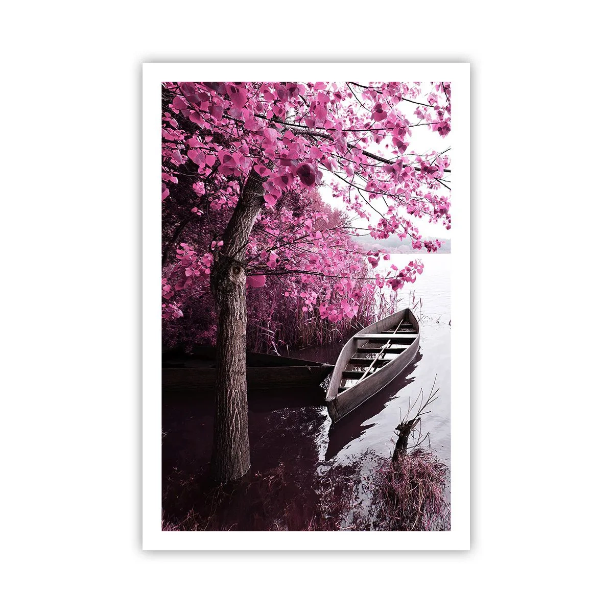 Plakat - W różowej ciszy - 61x91 cm