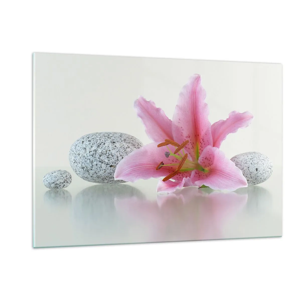 Obraz na szkle - Różowa lilia na tle białych kamieni w stylu spa - 120x80cm - Studium w różu, szarości i bieli - Nowoczesna dekoracja ścienna do salonu, kuchni i sypialni ARTTOR