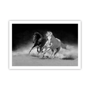 Plakat - Galop wolności - 91x61 cm