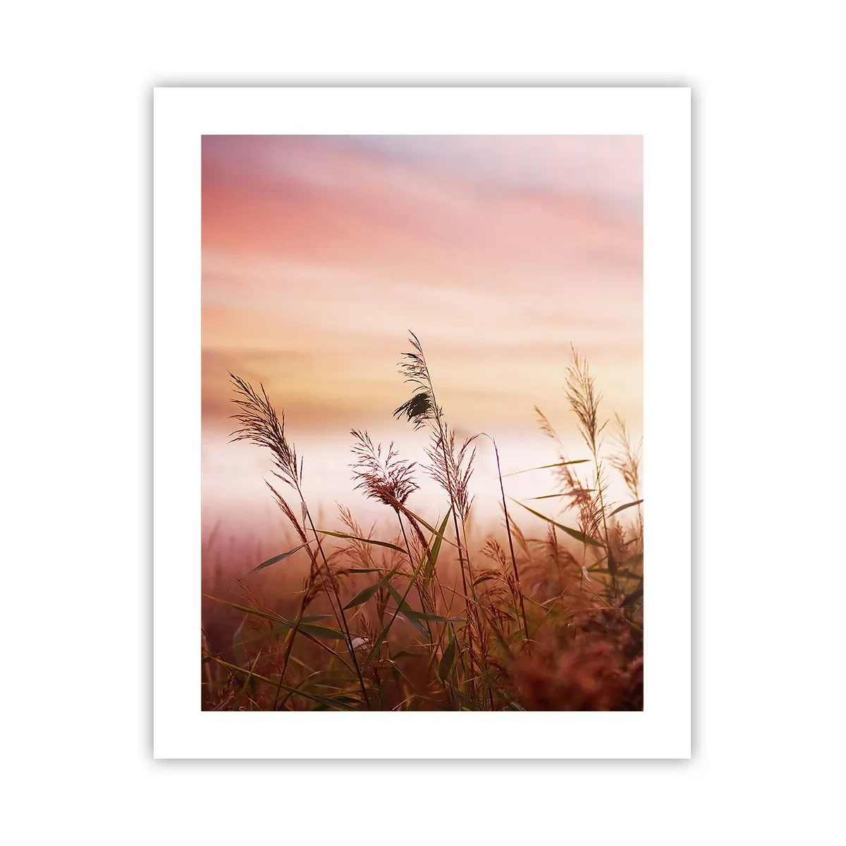 Plakat - Latawce, dmuchawce, wiatr - 40x50 cm