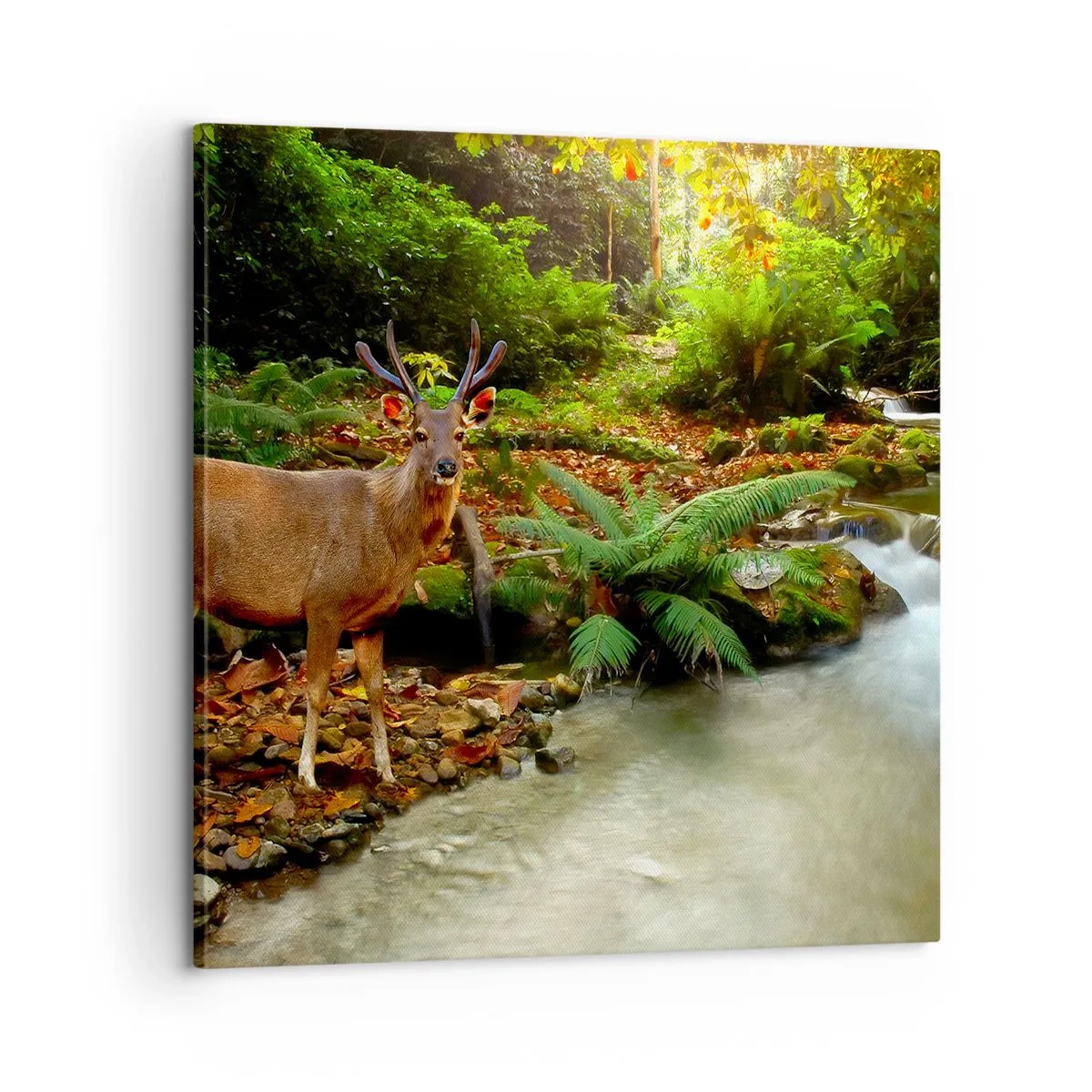 Obraz na płótnie - Witam w moim świecie - 60x60 cm