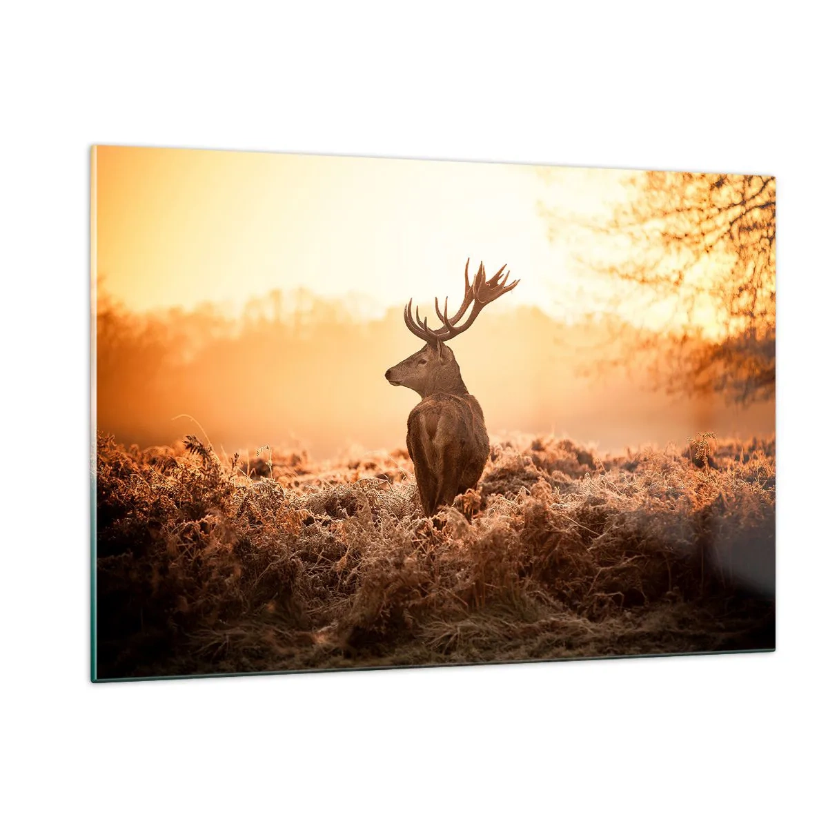Obraz na szkle - Jeleń na tle wschodu słońca w naturalnym krajobrazie - 120x80cm - Pan na włościach - Nowoczesna dekoracja ścienna do salonu, kuchni i sypialni ARTTOR