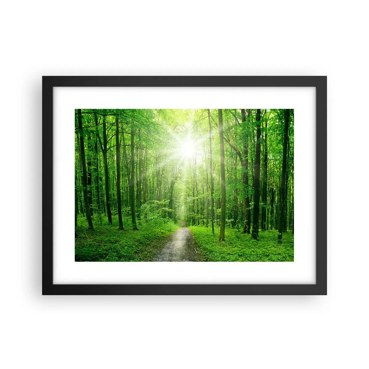 Plakat w czarnej ramie - Zielona katedra - 40x30 cm