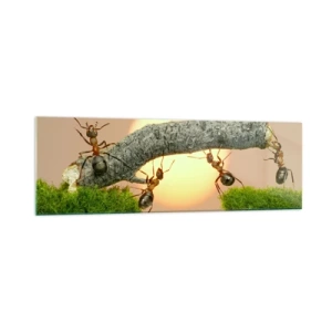 Obraz na szkle - Mrówki budujące most z gałęzi na tle zachodzącego słońca - 160x50cm - Radosna, wspólna praca - Nowoczesna dekoracja ścienna do salonu i sypialni ARTTOR