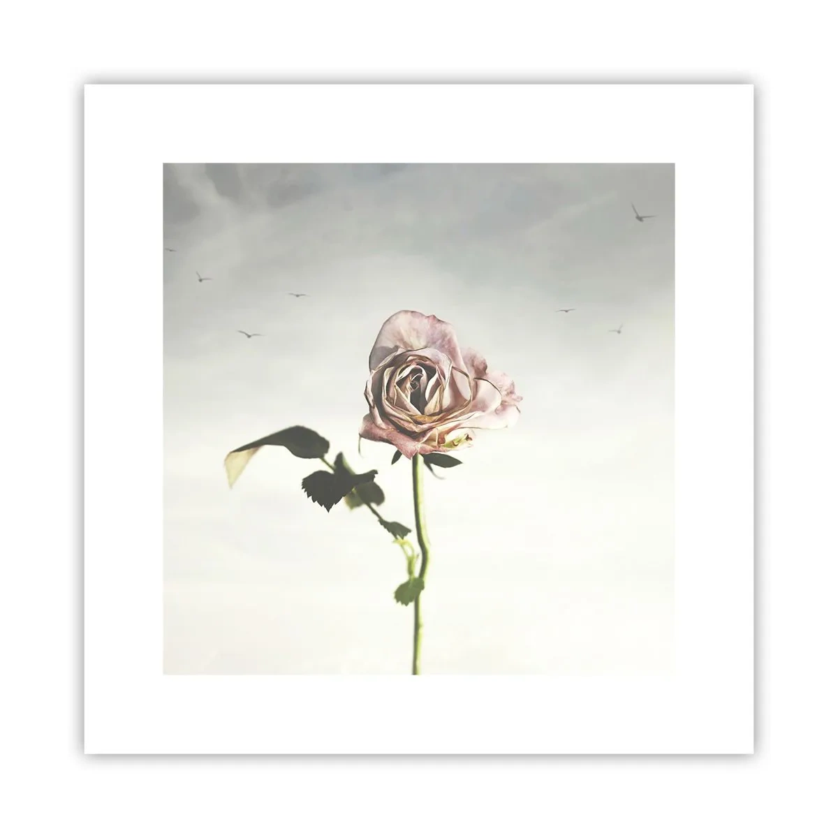 Plakat - Powitanie wiosny - 30x30 cm