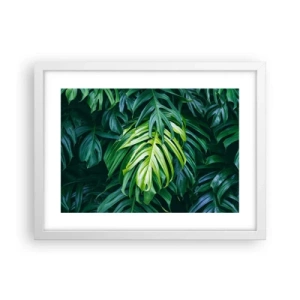 Plakat w białej ramie - Zanurzyć się w świeżości - 40x30 cm
