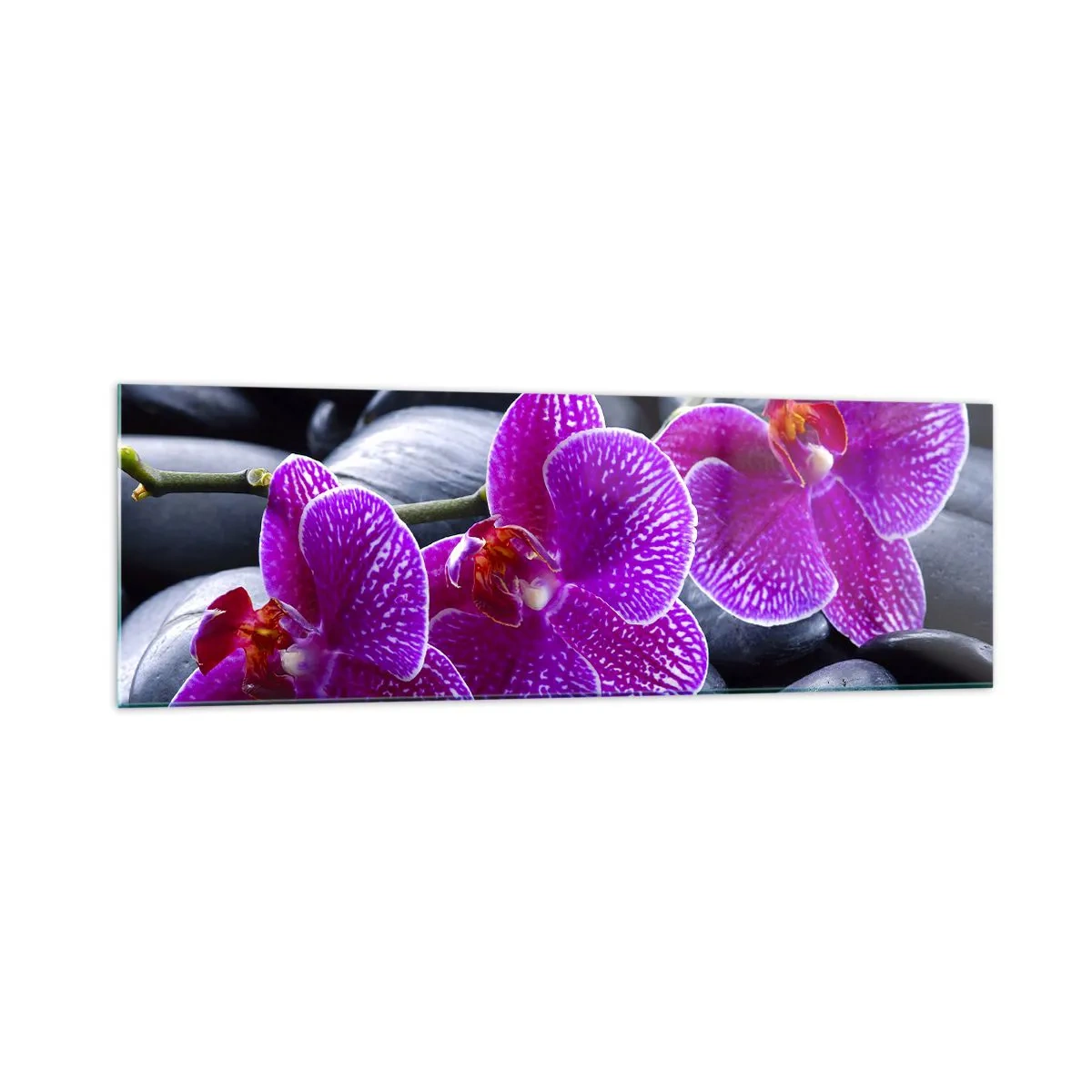 Obraz na szkle - Fioletowe orchidee na tle czarnych kamieni - 160x50cm - Kamienie pojaśniały z zachwytu - Nowoczesna dekoracja ścienna do salonu i sypialni ARTTOR