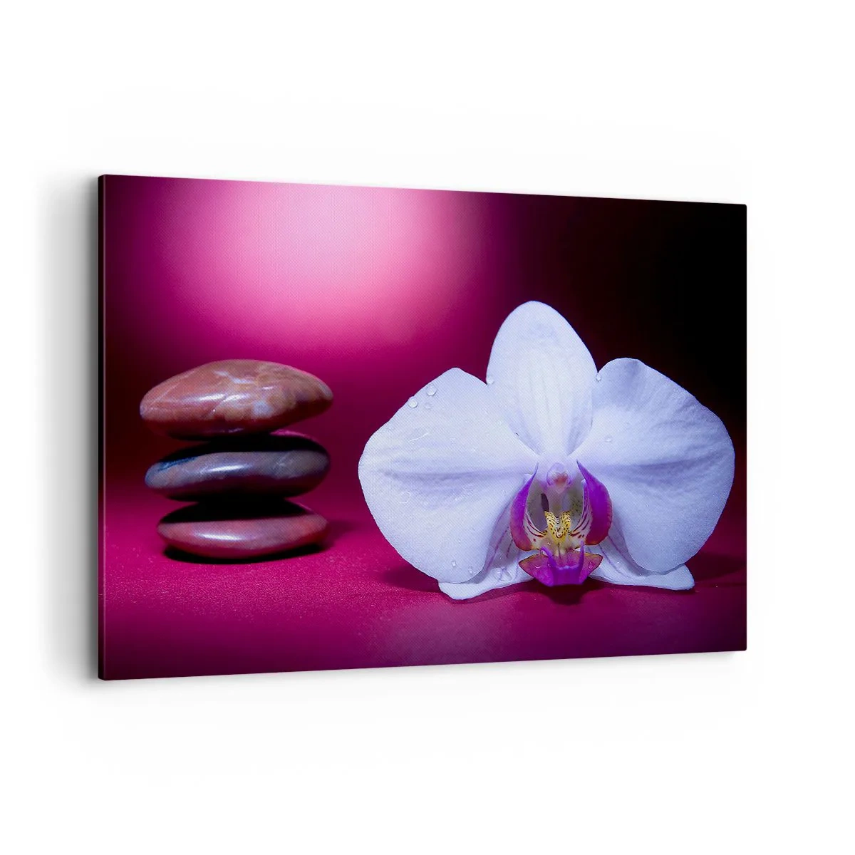 Obraz na płótnie - Biała orchidea i kamienie na różowym tle - 120x80cm - Studium świeżości w fiolecie - Nowoczesna dekoracja ścienna do salonu, kuchni i sypialni ARTTOR
