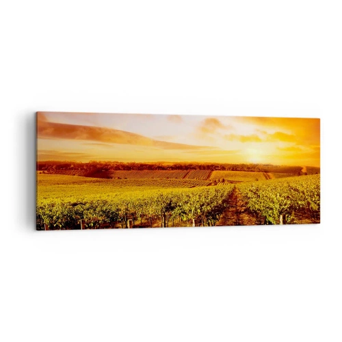 Obraz na płótnie - Winnica o zachodzie słońca z ciepłymi odcieniami nieba - 140x50cm - Delikatnie owocowe z nutą słońca - Nowoczesna dekoracja ścienna do salonu i sypialni ARTTOR