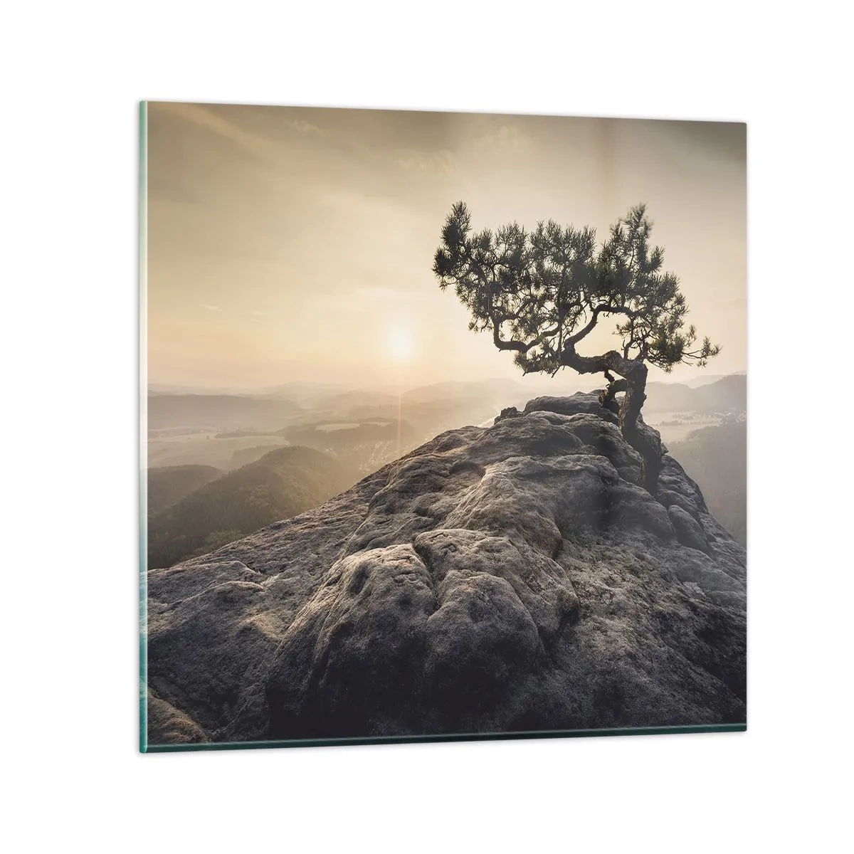 Obraz na szkle - Życie zawsze zwycięża - 60x60 cm