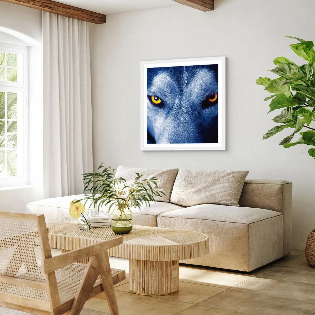 Plakat w białej ramie - Hipnotyzujące spojrzenie - 30x30 cm