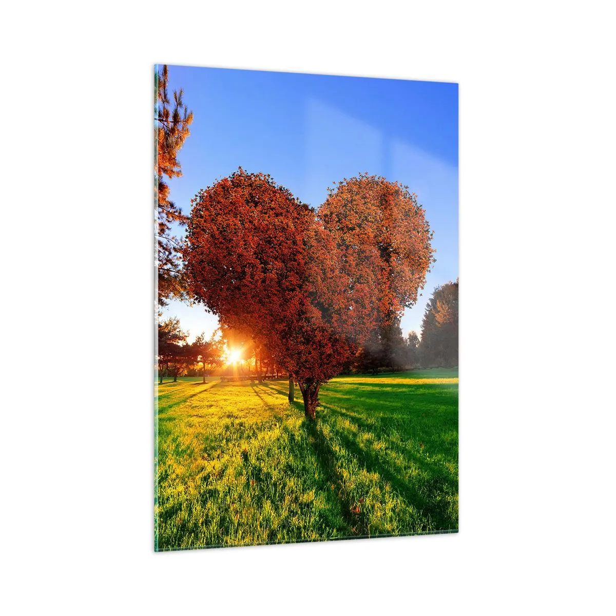 Obraz na szkle - Drzewo w kształcie serca na tle zachodzącego słońca - 50x70cm - I jak nie kochać jesieni - Nowoczesna dekoracja ścienna do salonu, kuchni i sypialni ARTTOR