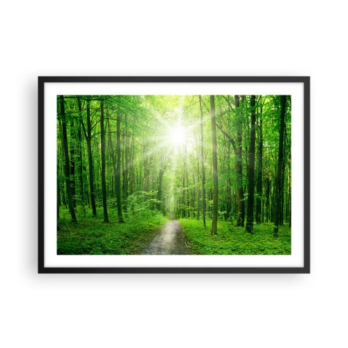 Plakat w czarnej ramie - Ścieżka w lesie z promieniami słońca - 70x50cm - Zielona katedra - Nowoczesna dekoracja ścienna do salonu i sypialni ARTTOR