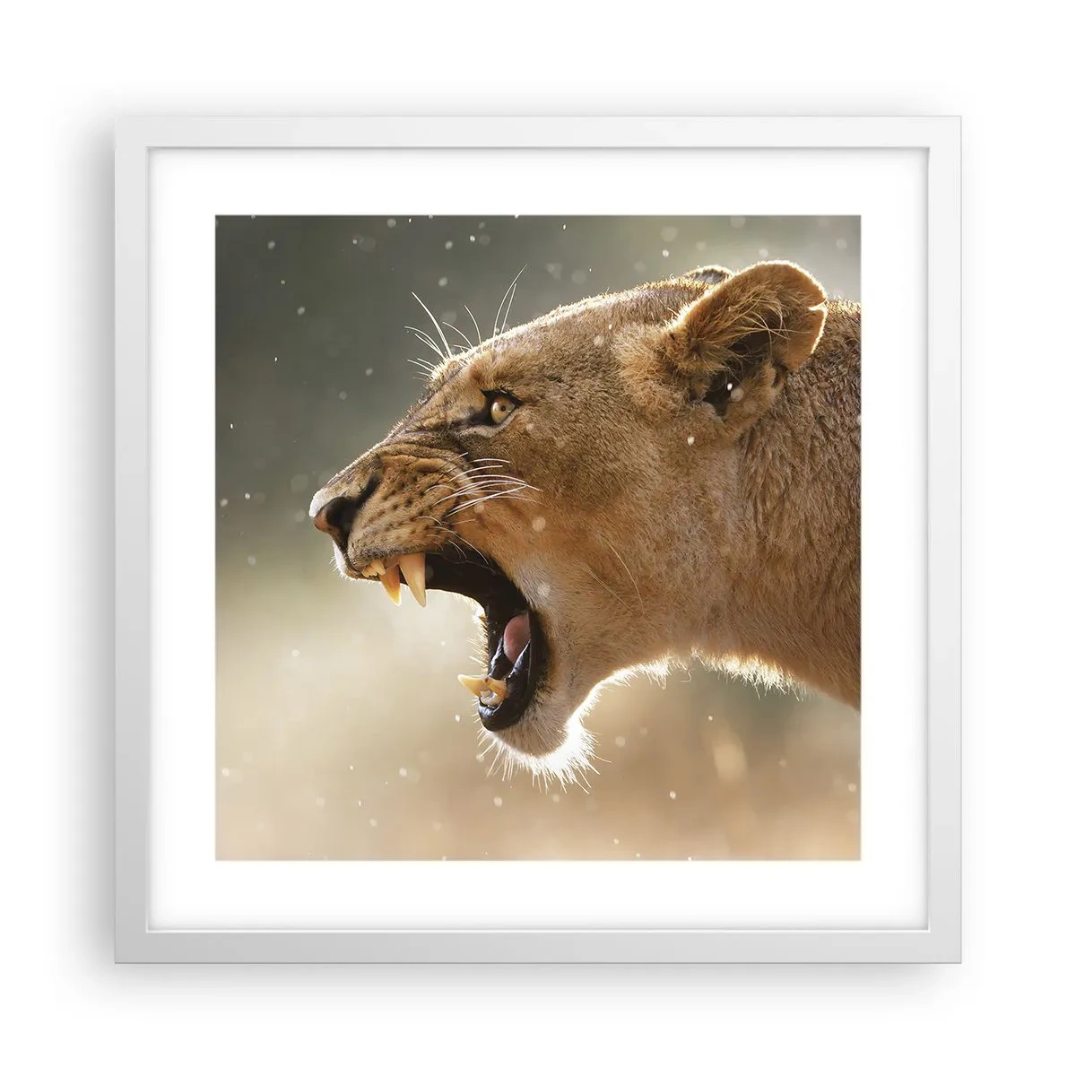 Plakat w białej ramie - Spróbuj nie posłuchać - 40x40 cm