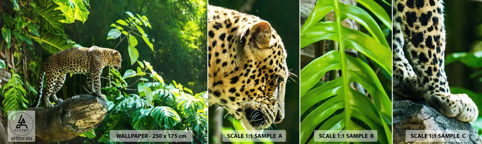 Fototapeta Próbka Standard Eco - Na łowy? - Dżungla, Lampart, Tropiki - 100x30 cm