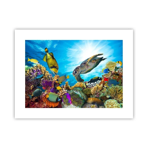 Plakat - Koralowa promenada - 40x30 cm