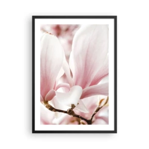 Plakat w czarnej ramie - Delikatne różowe płatki magnolii na rozmytym tle - 50x70cm - Bezmiar czułości - Nowoczesna dekoracja ścienna do salonu i sypialni ARTTOR